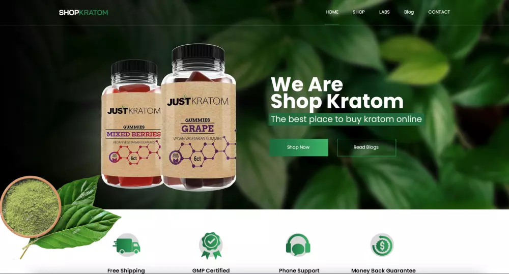 Web Development - Wordpress