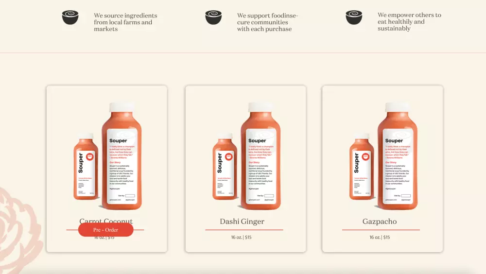 Web Development - Wordpress