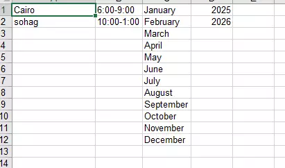 سأقوم بإدخال بياناتك بدقة واحترافية باستخدام Excel