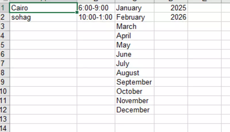 سأقوم بإدخال بياناتك بدقة واحترافية باستخدام Excel