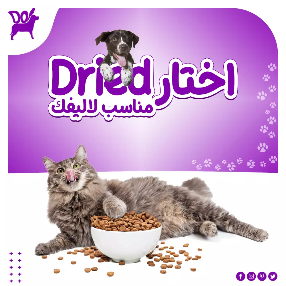 تصميم بوستر سوشيال ميديا ( منصات التواصل الاجتماعي )