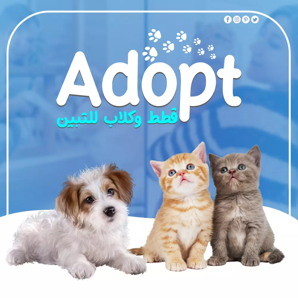 تصميم بوستر سوشيال ميديا ( منصات التواصل الاجتماعي )