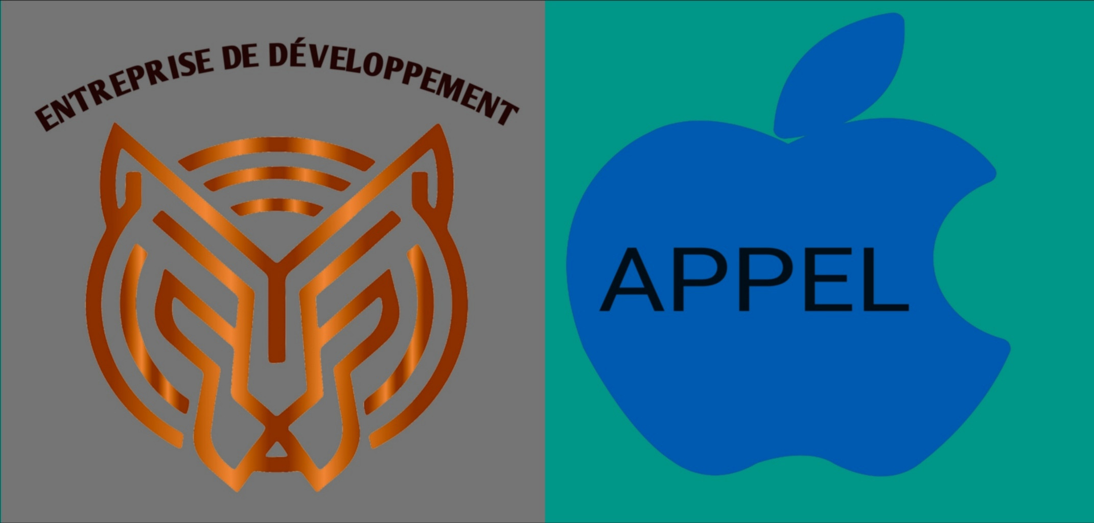 سأصمم شعارا للشركات و المواقع بشكل أحتيرافي