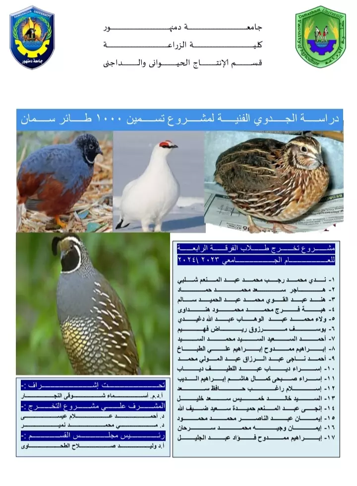 المساعدة فى تنظيم مشاريع التخرج وتلخيص الابحاث وترتيب فهرس الابحاث