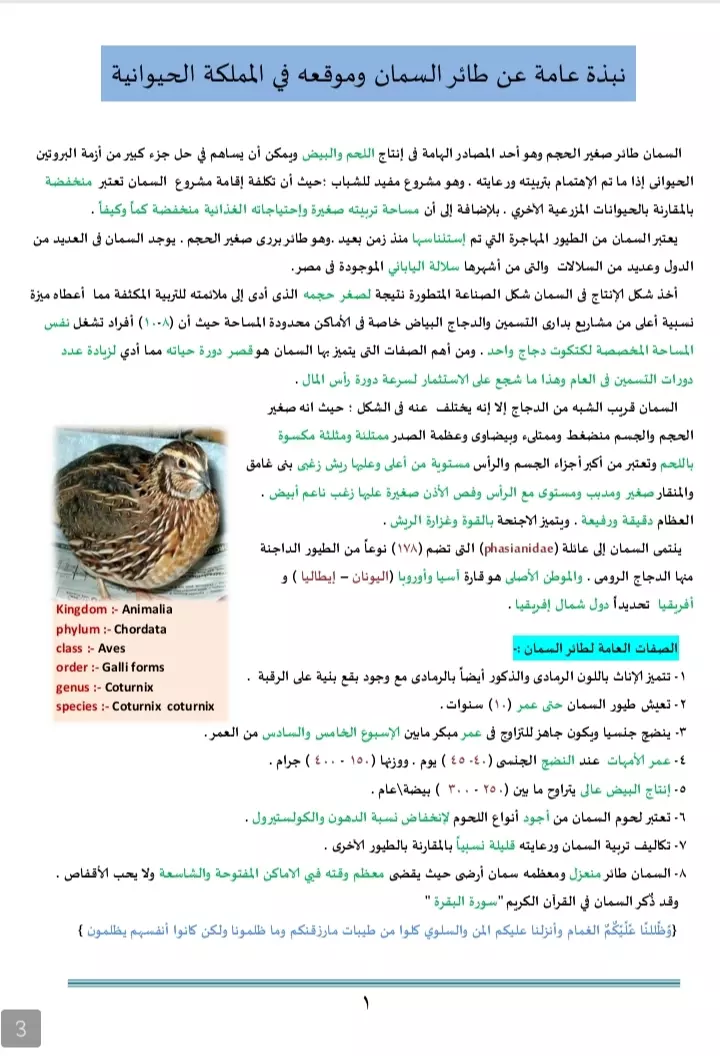 المساعدة فى تنظيم مشاريع التخرج وتلخيص الابحاث وترتيب فهرس الابحاث