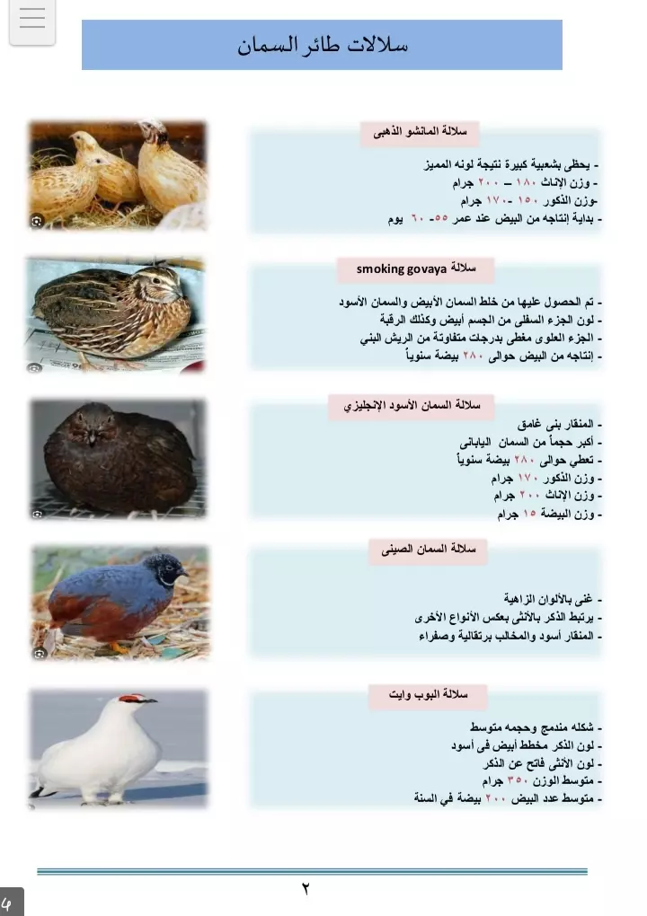 المساعدة فى تنظيم مشاريع التخرج وتلخيص الابحاث وترتيب فهرس الابحاث