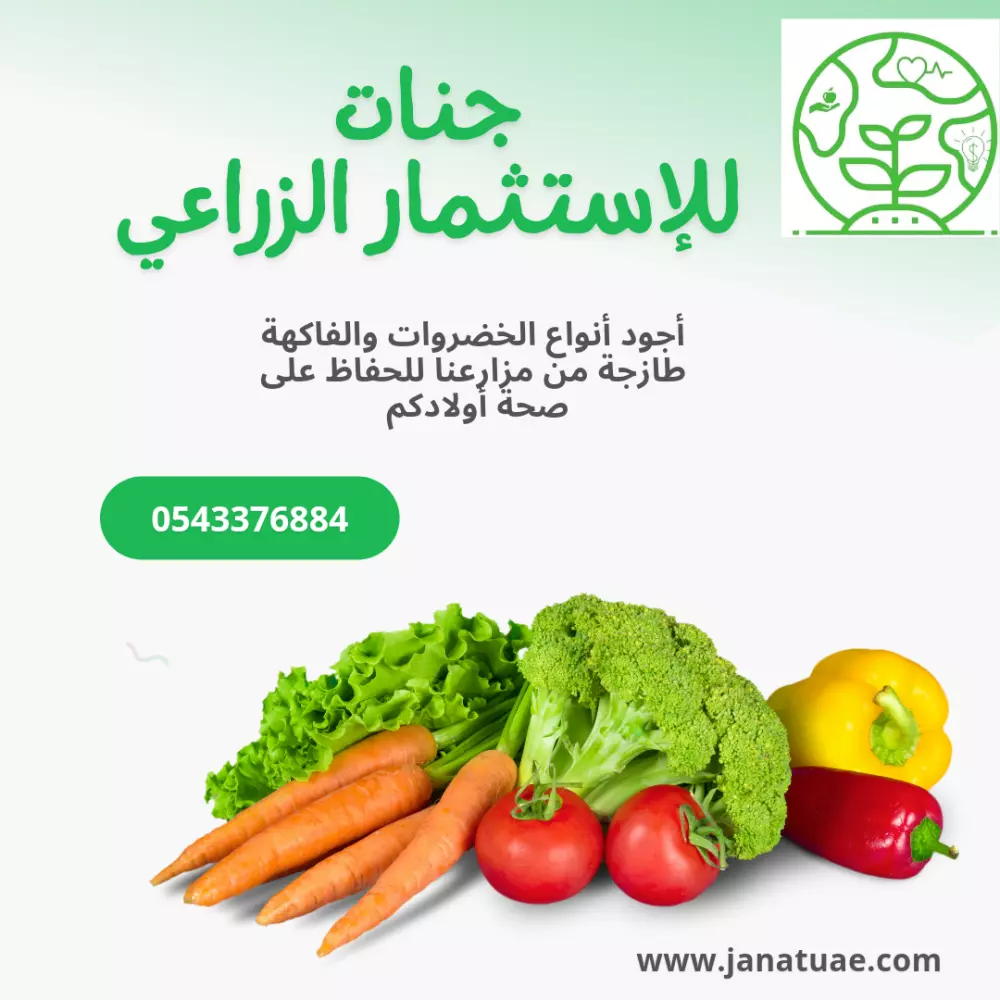 تصميمات بسيطة وجذابة باستخدام Canva