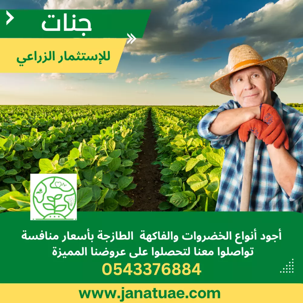 تصميمات بسيطة وجذابة باستخدام Canva