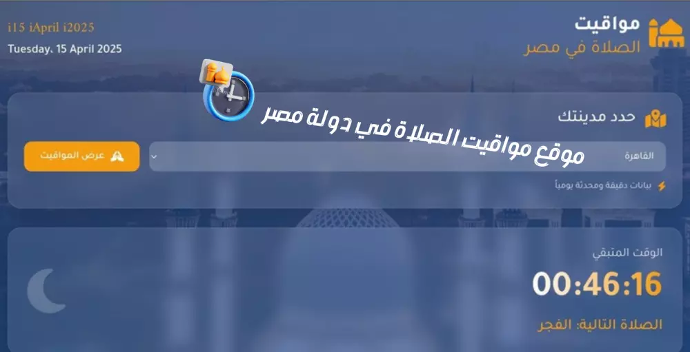 تصميم موقع إلكتروني احترافي وأنيق بهوية واضحة.