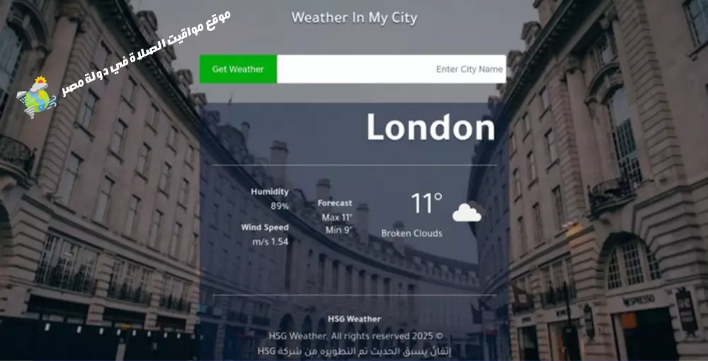 تصميم موقع إلكتروني احترافي وأنيق بهوية واضحة.
