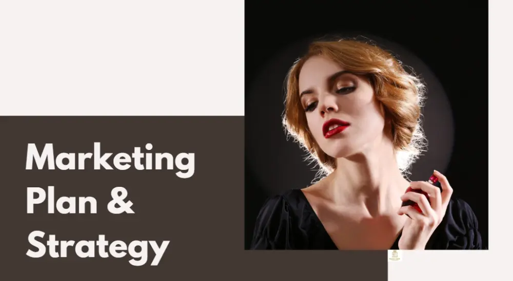 استراتيجي تسويق رقمي والخطط Marketing strategy & plan