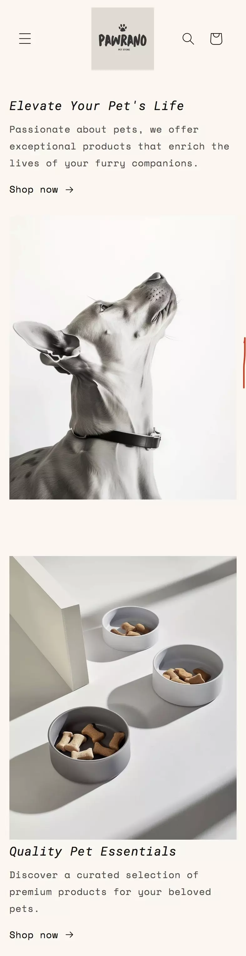 تصميم متجر Shopify كامل جاهز للبيع