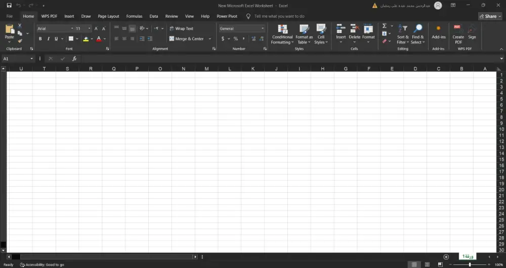 ادخال البيانات علي اكسيل وتنسيقها Excel Data Entry
