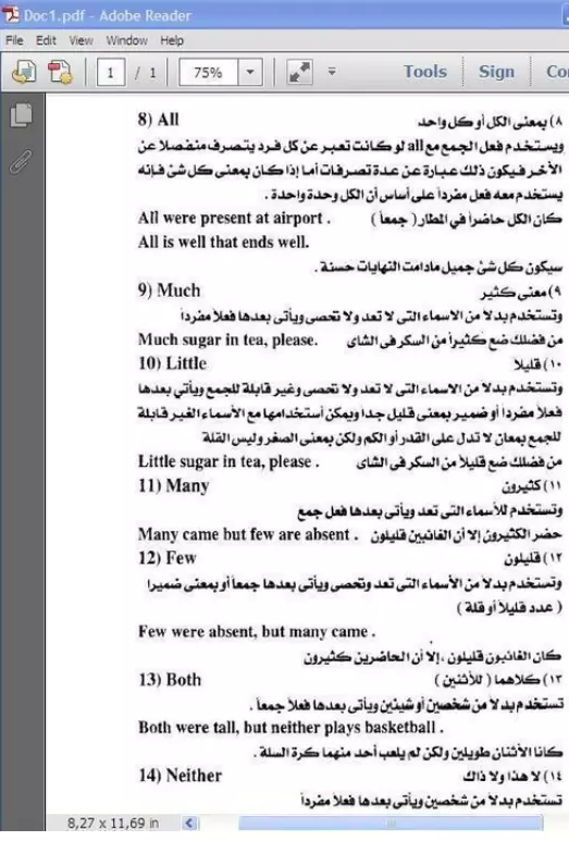 Text Editor & OCR Performance