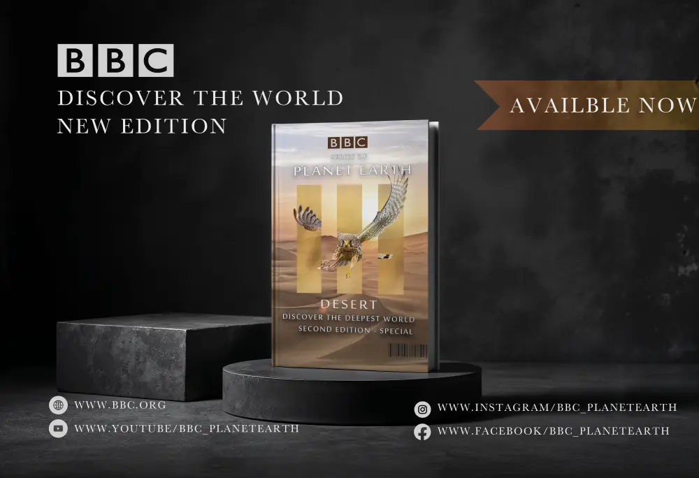 تصميم غلاف كتاب أو مجلة احترافي و ايقوني وجذاب للعين