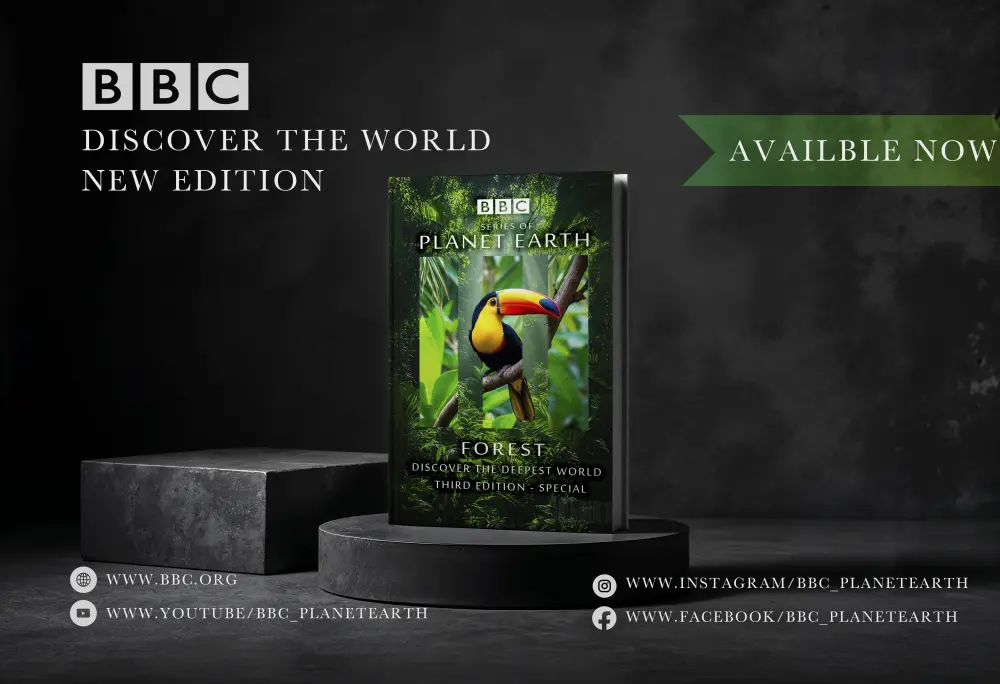 تصميم غلاف كتاب أو مجلة احترافي و ايقوني وجذاب للعين