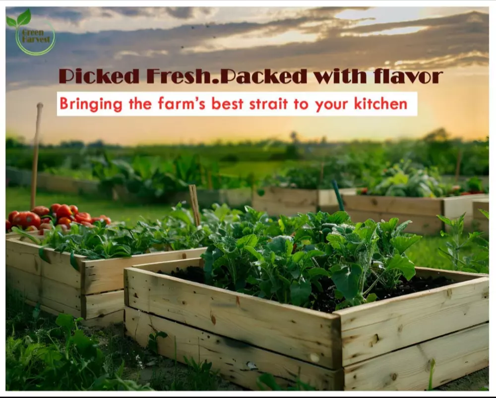 تصميم حملات دعائية و اعلانات ,  تصميم شعارات