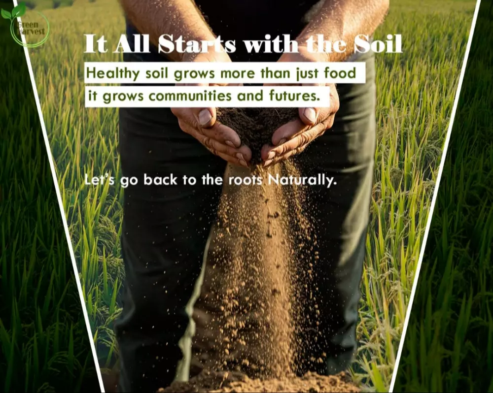 تصميم حملات دعائية و اعلانات ,  تصميم شعارات