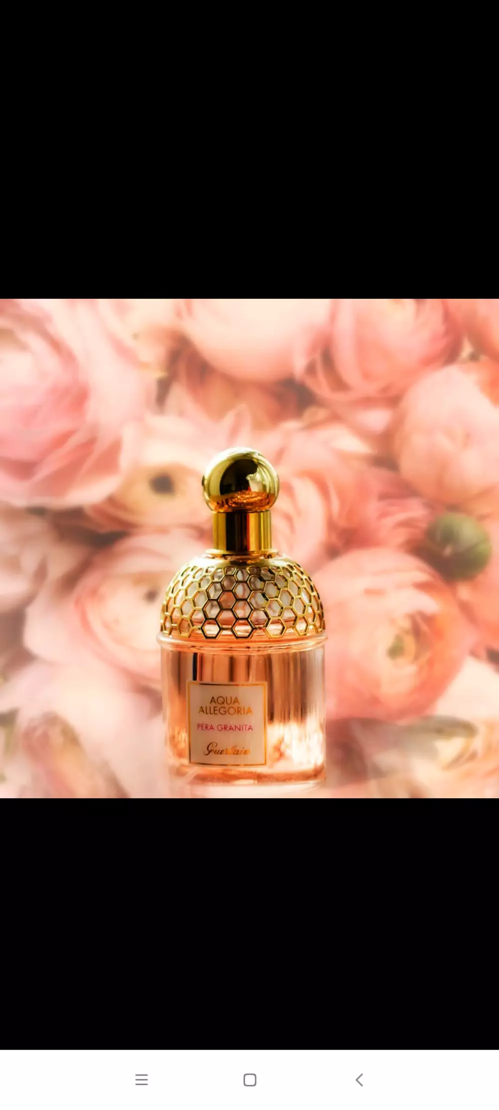 تصميم حملات دعائية و اعلانات ,  تصميم شعارات