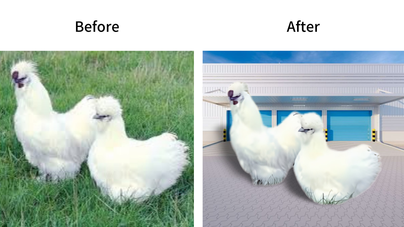 تغيير خلفية الصور  (Background Removal) خلال 24 ساعة