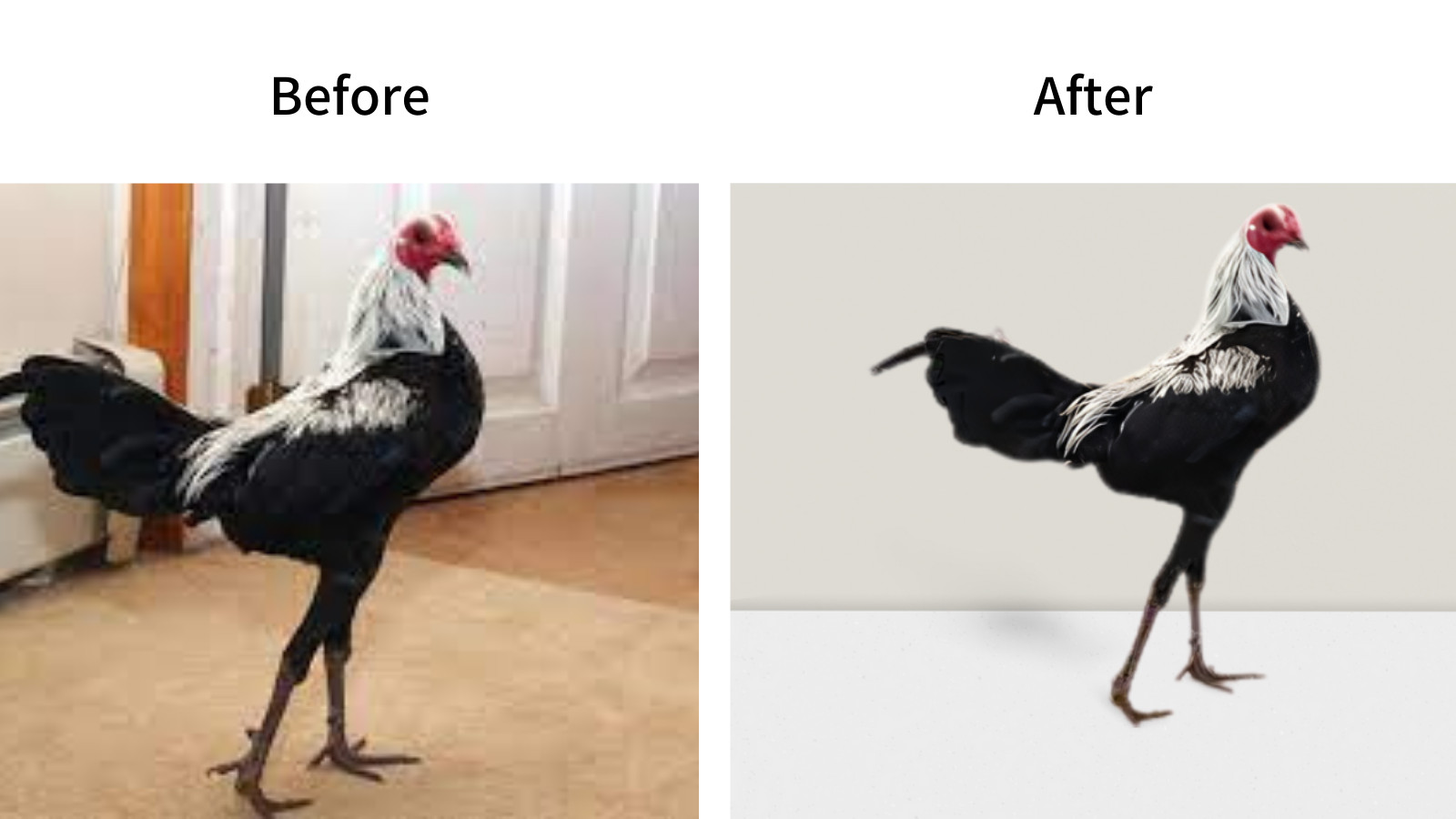 تغيير خلفية الصور  (Background Removal) خلال 24 ساعة