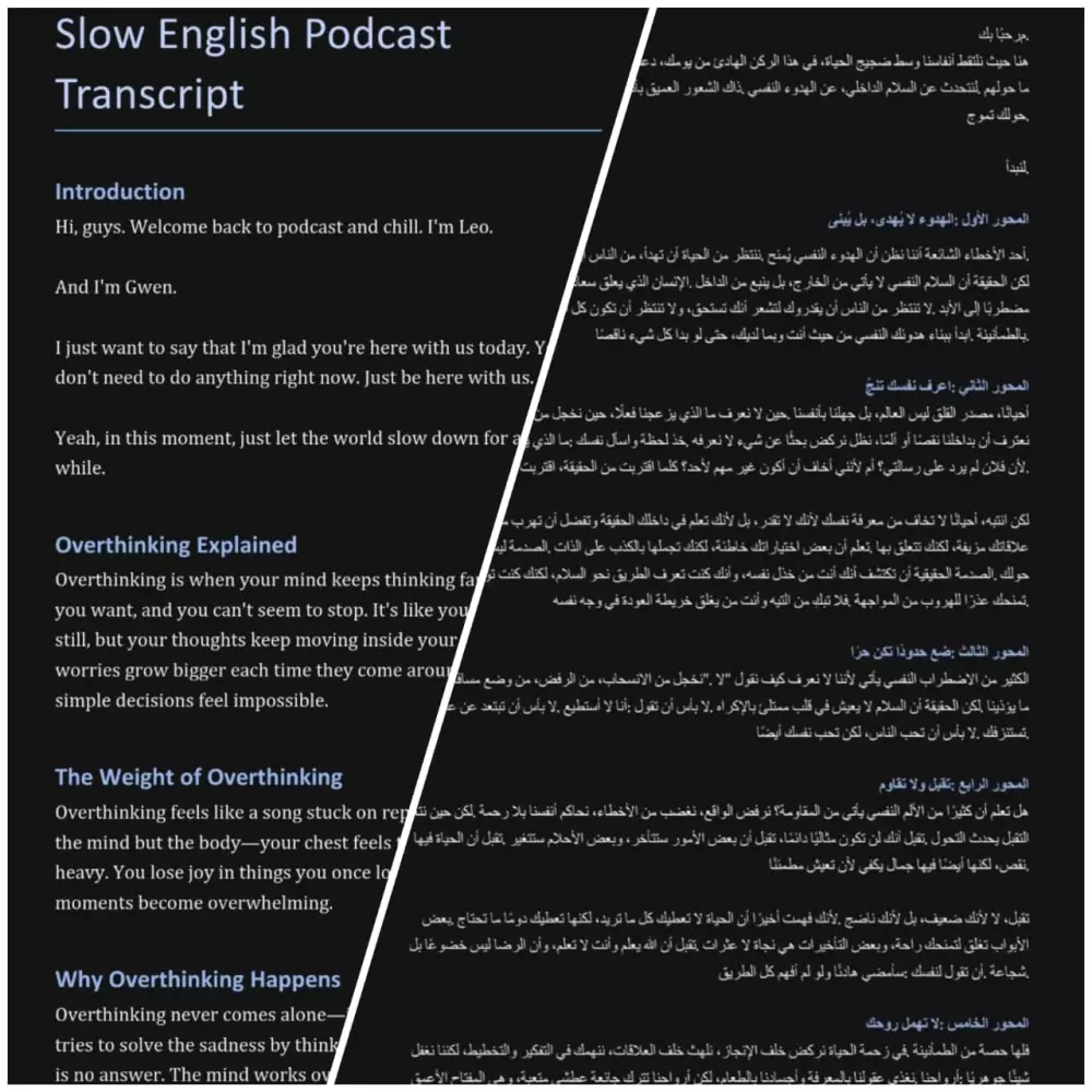 تفريغ احترافي للفيديوهات والصوت إلى Word