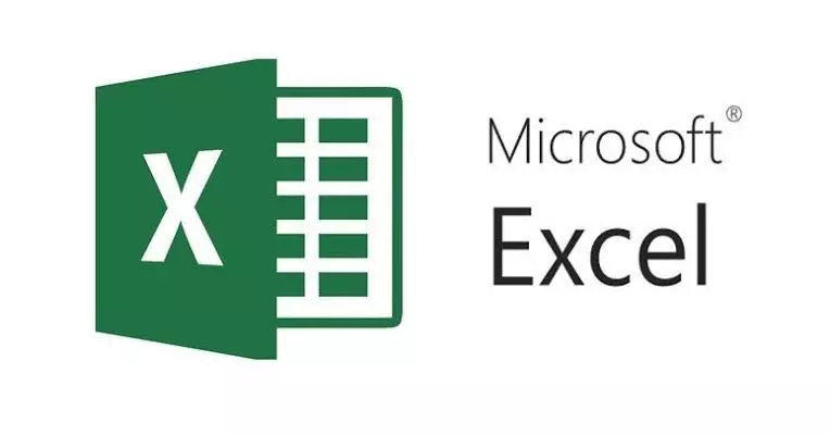 إدخال وتنظيم البيانات باحترافية في ملف Excel مرتب