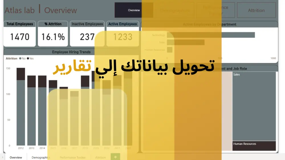 تحويل البيانات إلي تقارير