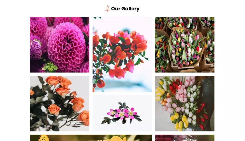 صفحة هبوط لمتجر الكتروني