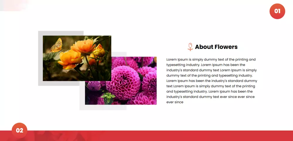 صفحة هبوط لمتجر الكتروني