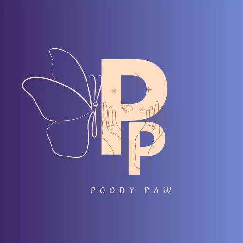 تصميم شعار باحترافية