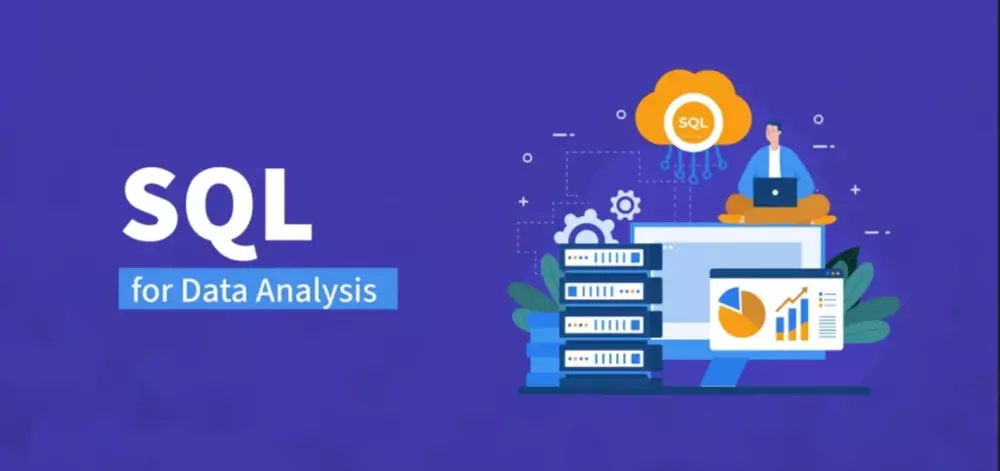 تحليل البيانات باستخدام SQL و python و عمل داشبورد
