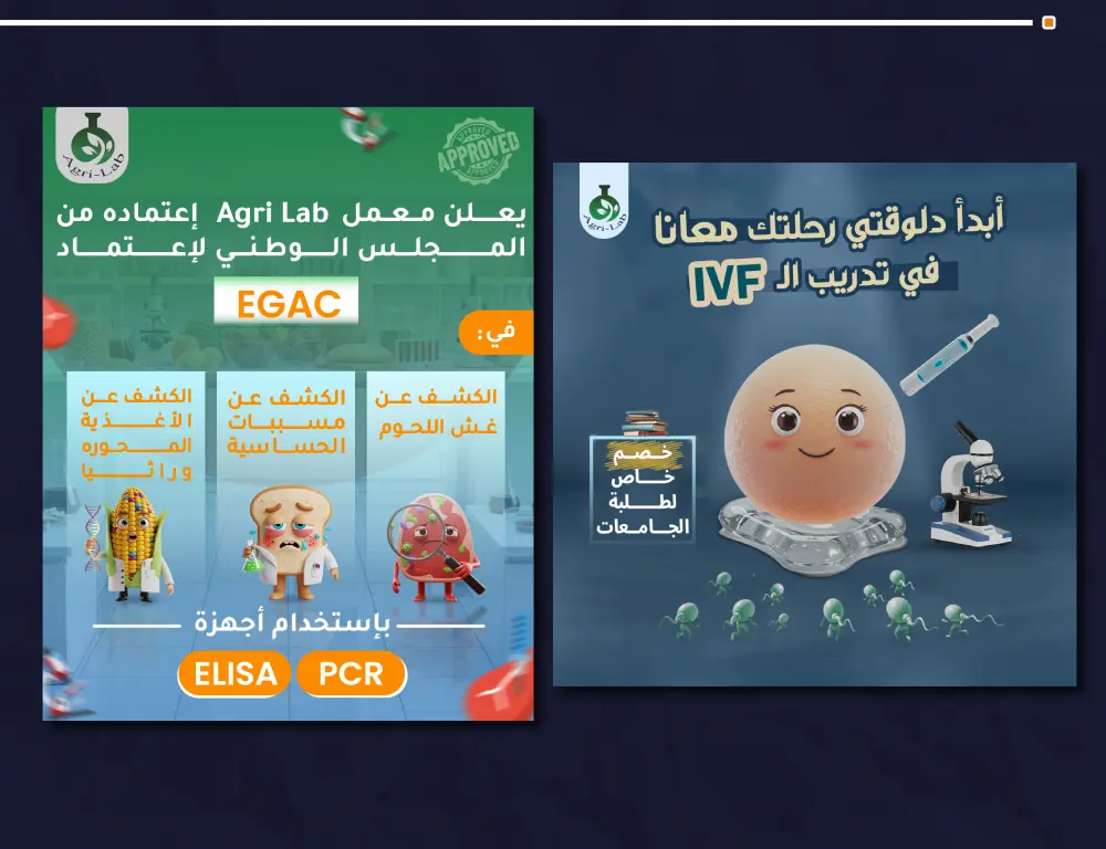 تصميم بوستات (اعلانات) سوشيال ميديا مميزة واحترافية