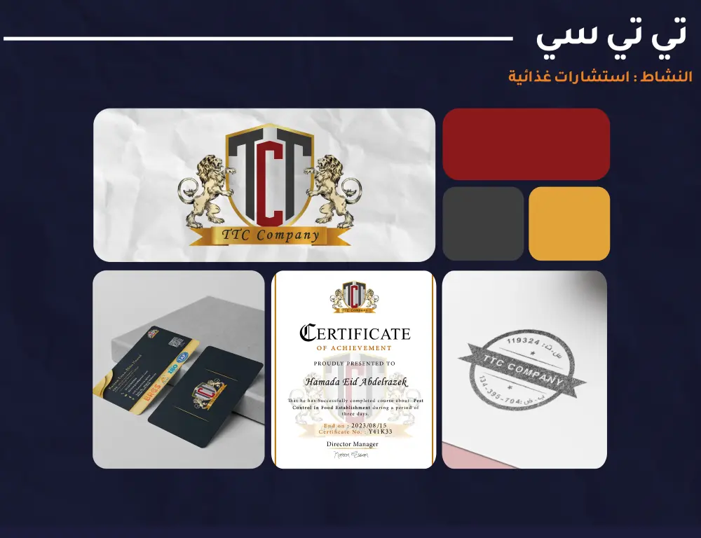 تصميم هوية بصرية كاملة