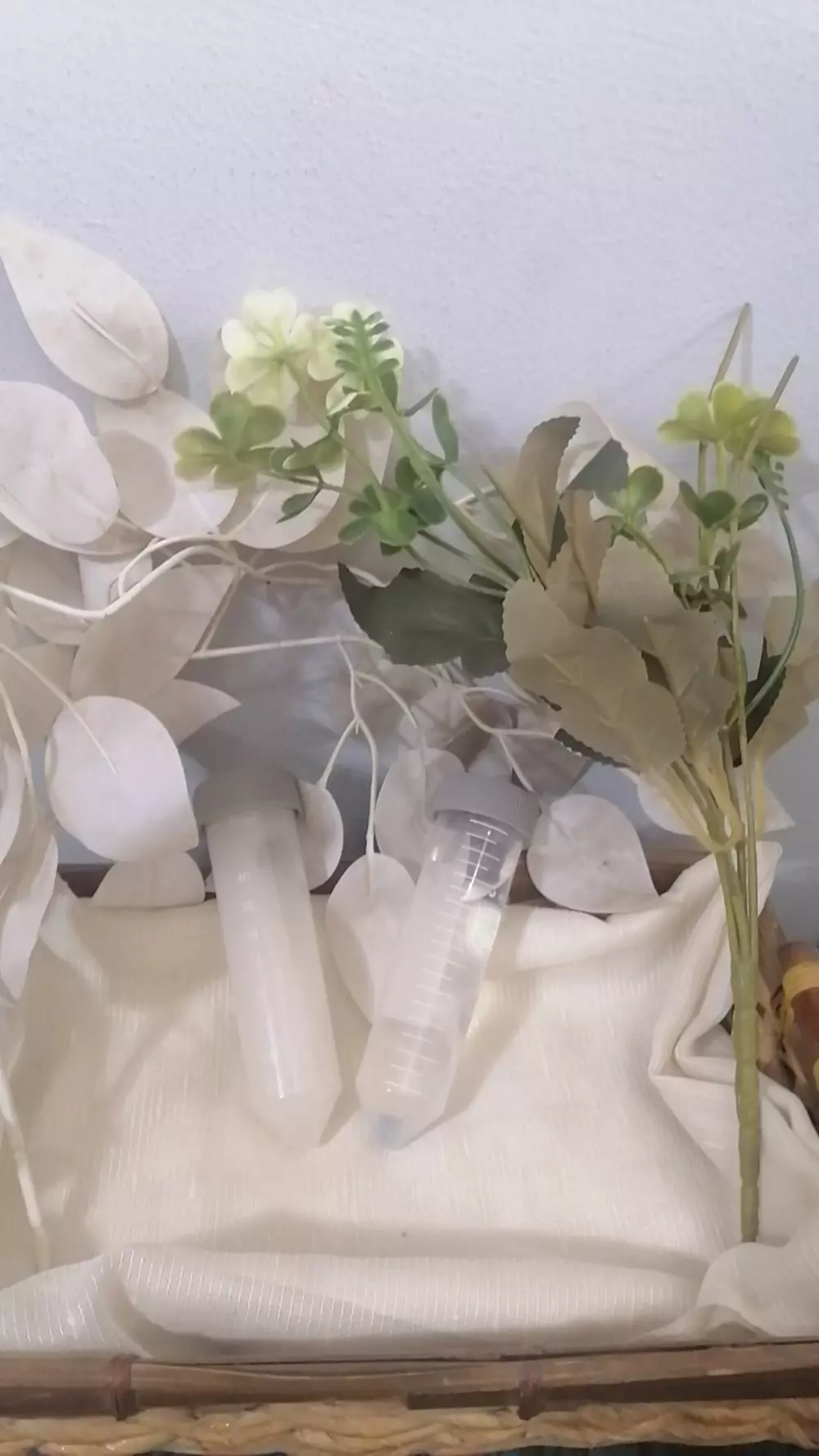 تصميم ومراجعة التركيبات التجميلية