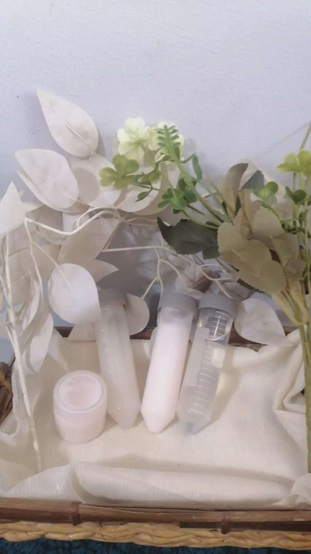 تصميم ومراجعة التركيبات التجميلية