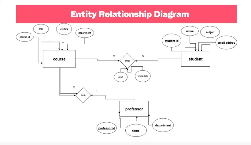 احترافية في انشاء Database + تصميم ERD Diagram +Mapping