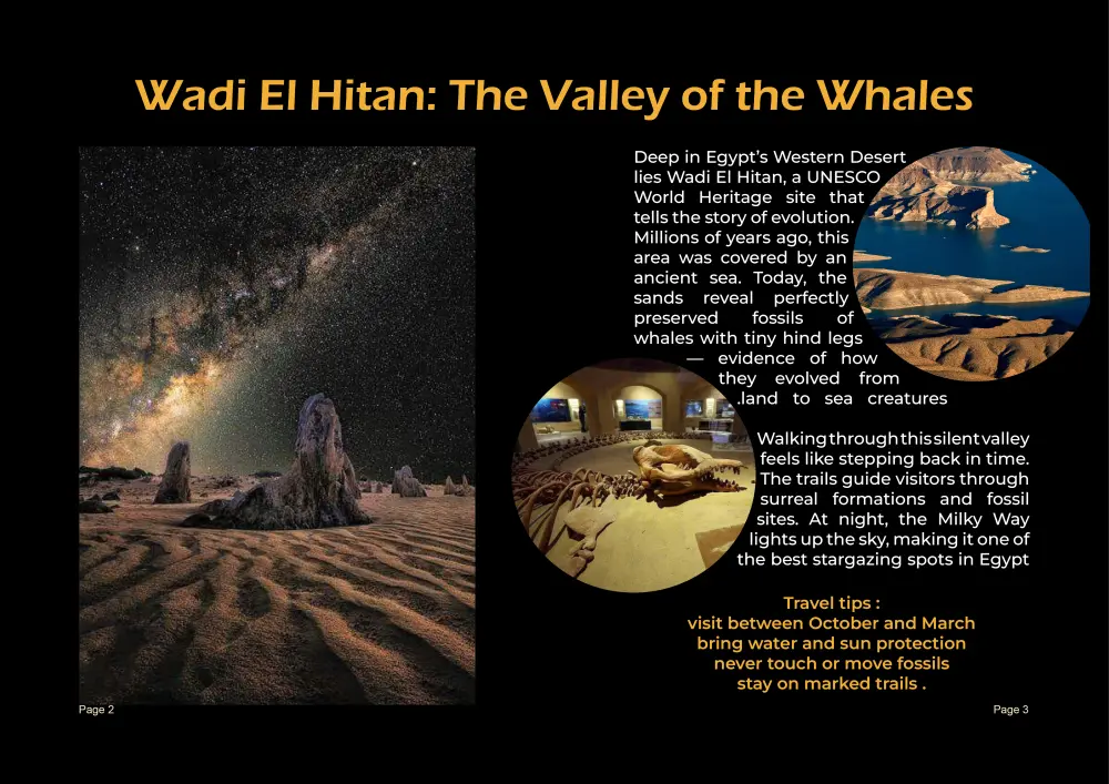 تصميم مجلة احترافية تجمع بين الإبداع والتنظيم