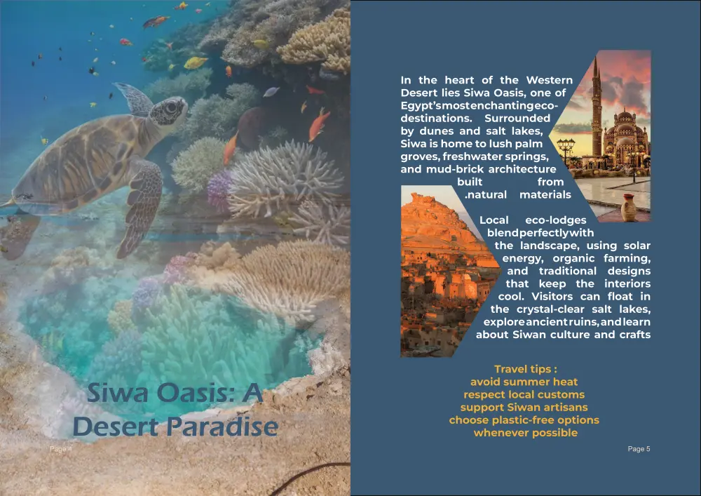 تصميم مجلة احترافية تجمع بين الإبداع والتنظيم