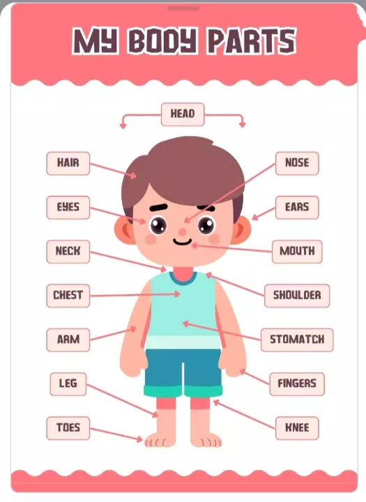 تصميم محتوى تعليمي للأطفال | بطاقات وأنشطة ملونة لتعليم الحروف والأرقام