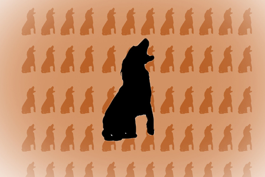 تصميم شعارات وإعلانات سوشيال ميديا باستخدام فوتوشوب والاستريتور، بدقة عالية واحترافية