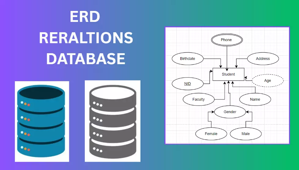 تحليل و تصميم قاعدة البيانات برسم ERD احترافي