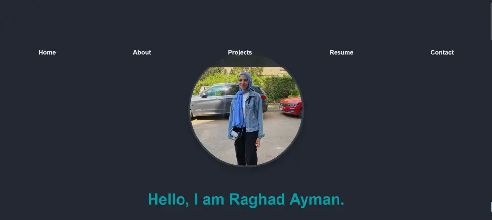 Personal portofolio-ملف شخصي