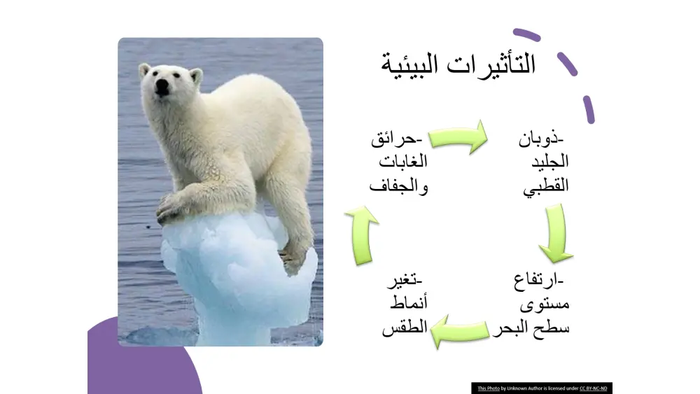 تصميم عرض تقديمي احترافي(presentation design)