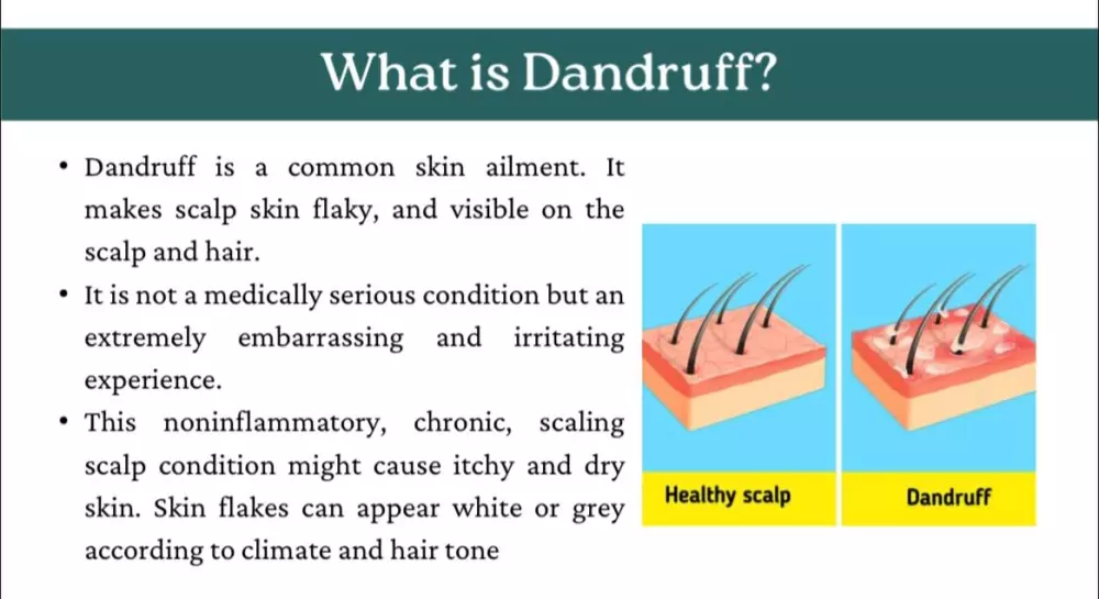 إنشاء عرض تقديمي احترافي مريح للعين سريع الفهم و سعر اقتصادي