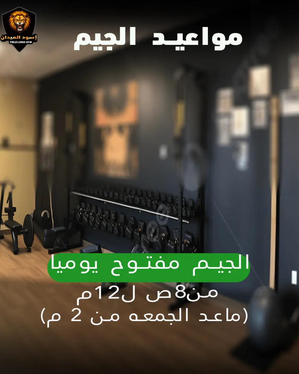 تصميم منشورات سوشيال ميديا احترافية وجذابة لزيادة التفاعل وبناء هوية بصرية مميزة