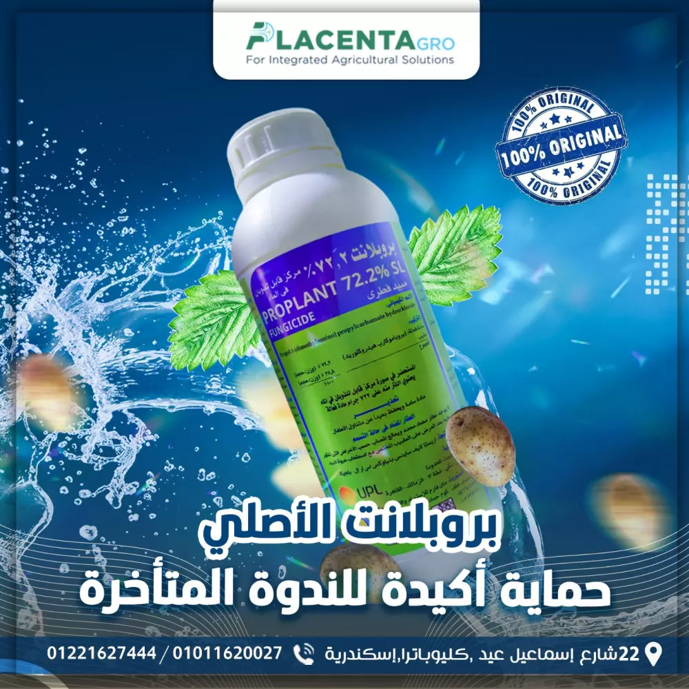 سوف أقوم بتصميم 1 إعلان سوشيال ميديا قابل للنشر مقابل 5$ خبرة أكثر من ثلاث سنوات