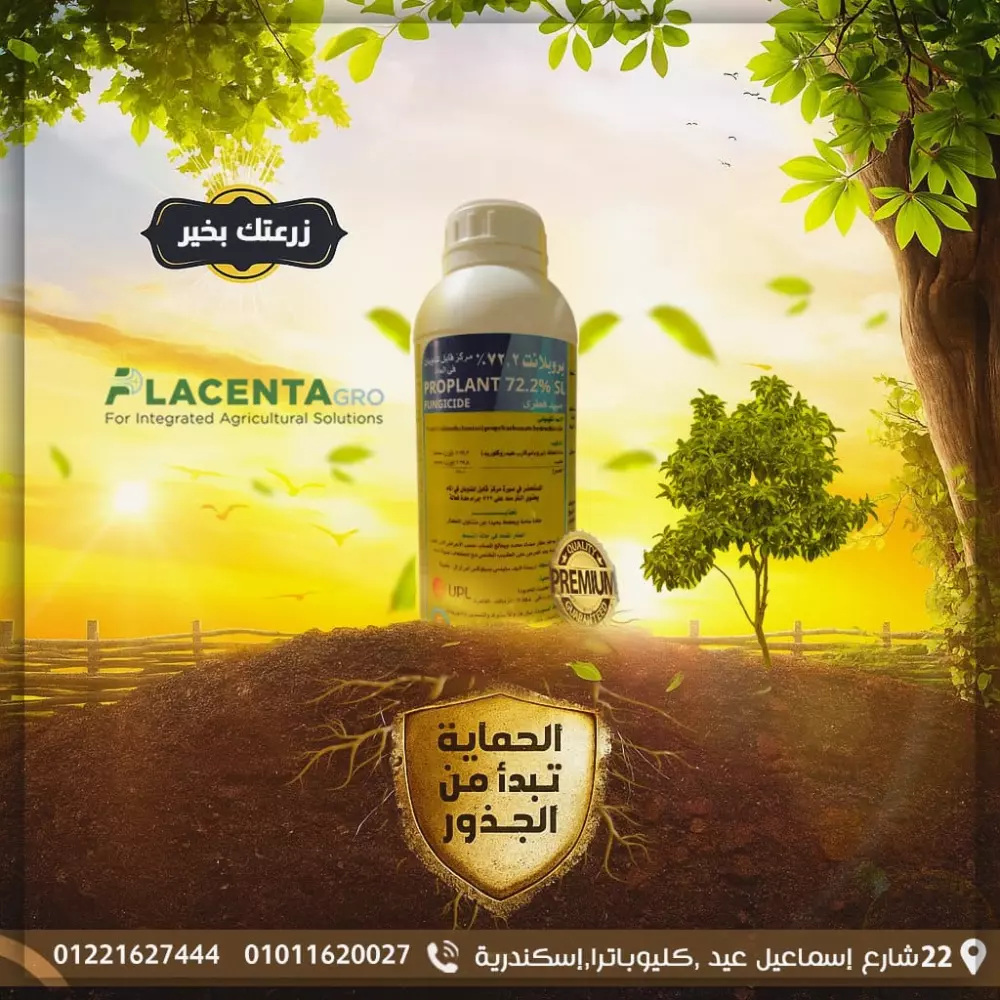 سوف أقوم بتصميم 1 إعلان سوشيال ميديا قابل للنشر مقابل 5$ خبرة أكثر من ثلاث سنوات