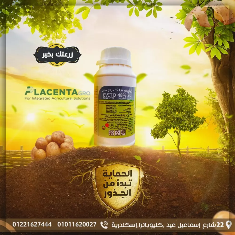 سوف أقوم بتصميم 1 إعلان سوشيال ميديا قابل للنشر مقابل 5$ خبرة أكثر من ثلاث سنوات