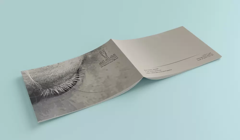 سأقوم بتصميم هوية بصرية متكاملة تعكس الفخامة والأصالة العربية للخيل، وتُبرز المهرجان بشكل احترافي يمكن استخدامه في جميع الوسائط المطبوعة والرقمية.